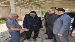 بازدید بازرس کل قضائی استان البرز از 2 واحد کشاورزی و صنعتی در شهرستان طالقان